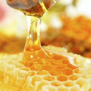 蜂蜜营养制品 蜂蜜 椴树蜂蜜 蜂产品 批发哈尔滨椴树优质蜂蜜 蜂蜜酒